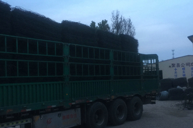 高尔凡雷诺护垫